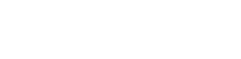 AeroZipper logo blanco